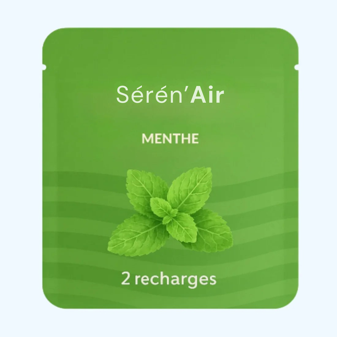 Menthe (10 jours)